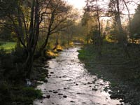Casa Rural Madreselva - Rio Esva